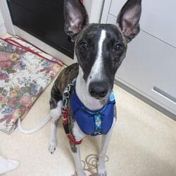 「このサイトで」サムネイル3