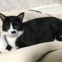 クールに見えて、実は甘えんぼな女の子