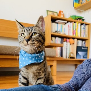 一緒にお布団で寝てくれる添い寝王子！【大阪市】