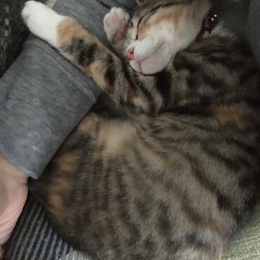 う、腕がっっ