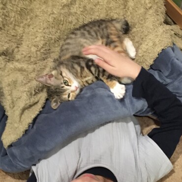 の写真