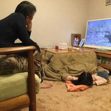 の写真