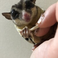 杉本 一止