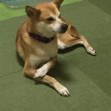 の写真