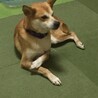 の写真