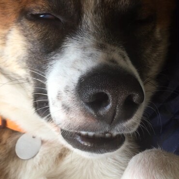 の写真