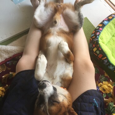 の写真