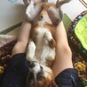 の写真