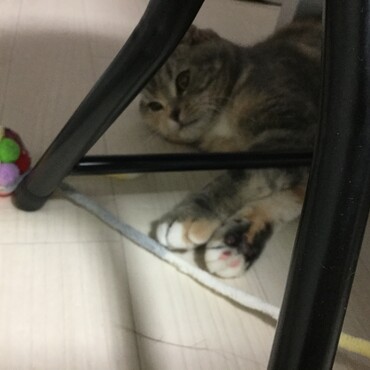 の写真