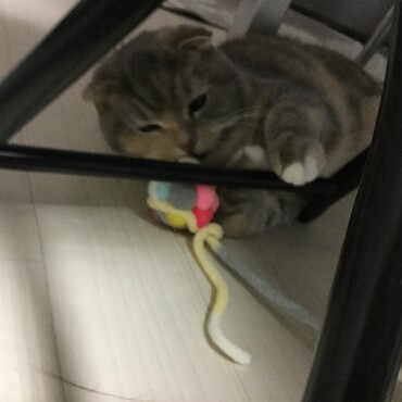の写真