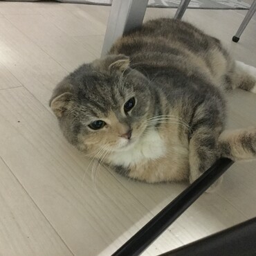 の写真