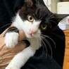 3ヶ月　白黒　元気いっぱい　ちろりんくん サムネイル4