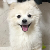 おこめ