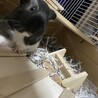  さん