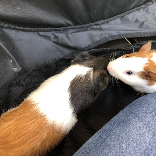 Jun.jun6のカバー写真