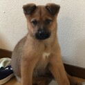 とってもハンサム。懐っこい北斗くん