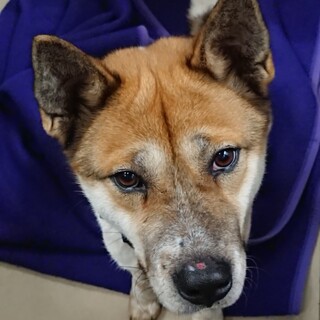 【助けてください】ハンサムな男の子