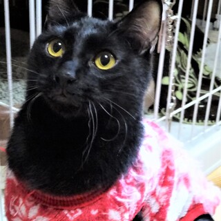 ちょっとだけビビりの夏樹くん、９か月半