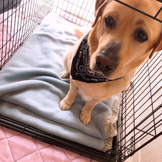 家庭の事情でせわできなくなりました