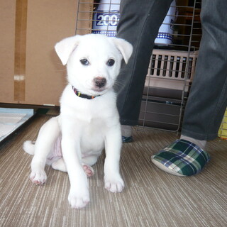 チャーミング女子