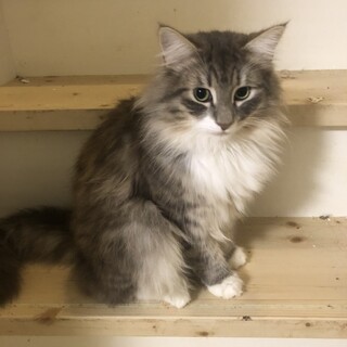 人なっつこい杏くん