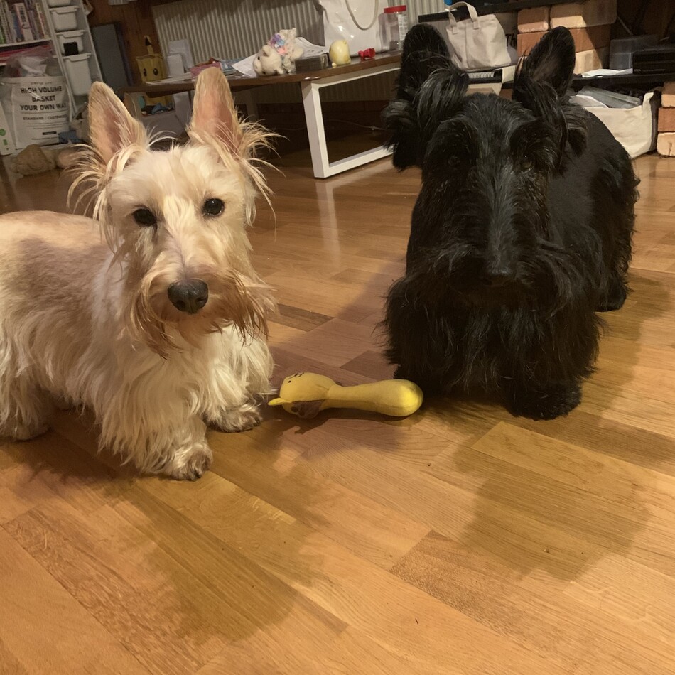 ひかりのカバー写真