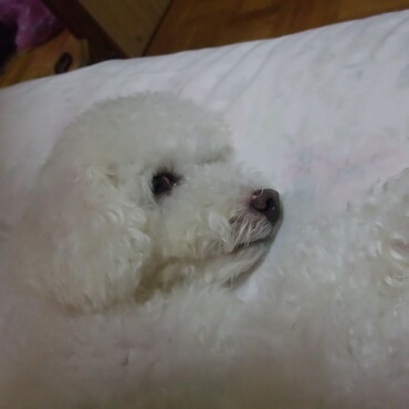 の写真