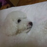 の写真