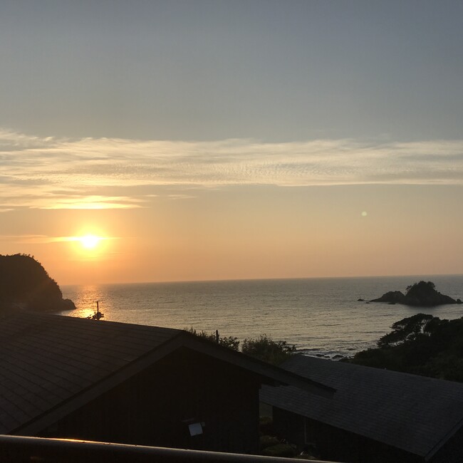 かねぞうのカバー写真