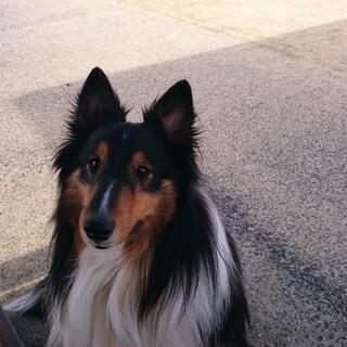 元気で甘えん坊な男の子