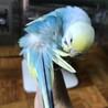 こもちゃん839