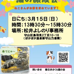 保護猫の譲渡会in守山　中止となりました
