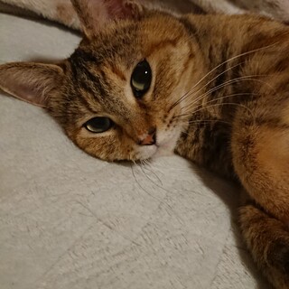 避妊済みの女の子です！