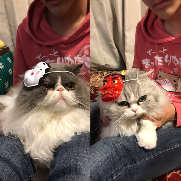 せつぶーん！