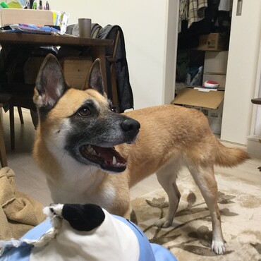 の写真