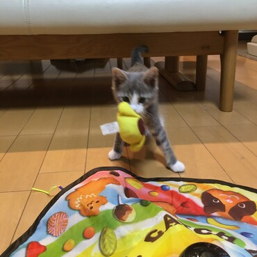 の写真