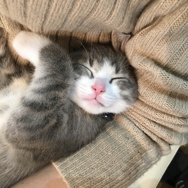 の写真