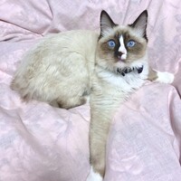 ゆきとさん