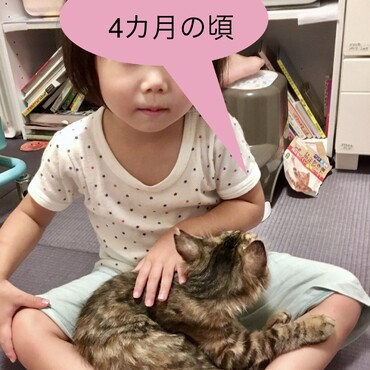 の写真