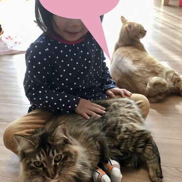 の写真
