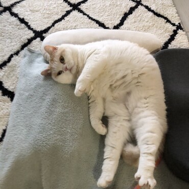 の写真