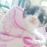はる☺︎︎
