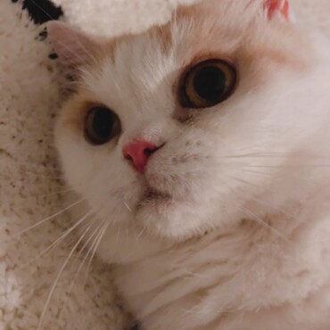 の写真