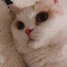 の写真