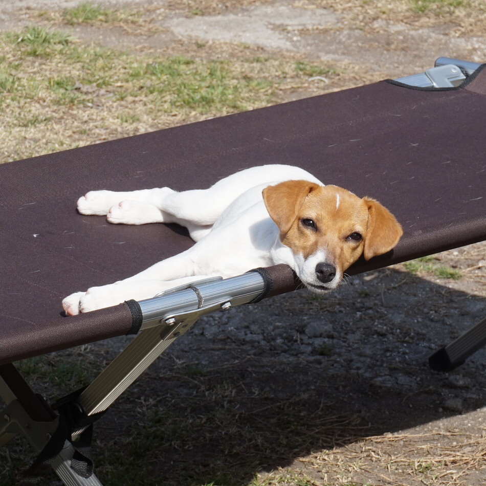 うにのカバー写真