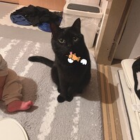 浮田みーみ