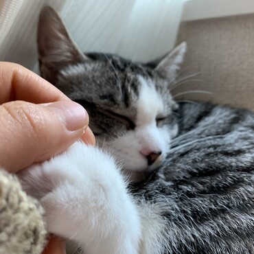 そっと、握手。