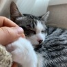 そっと、握手。