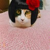 おかっぱも良し！
