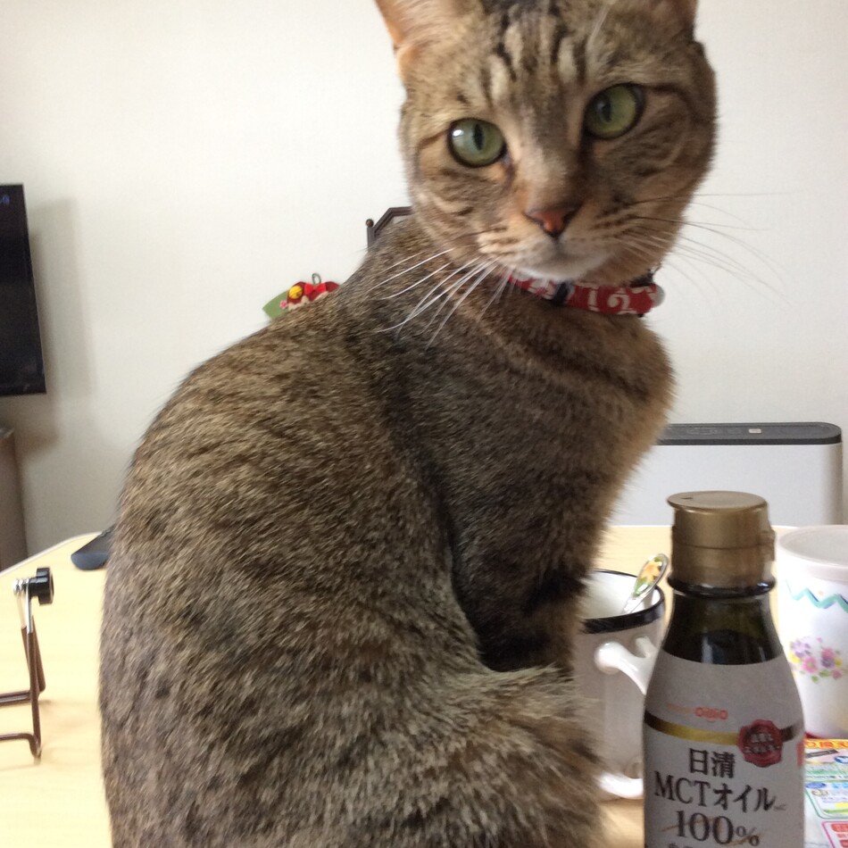 うめのカバー写真